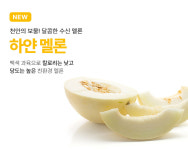 수신진영멜론농원 | 수신멜론보라농원