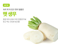 수신진영멜론농원 | 수신멜론보라농원