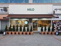 카페마일로앤일광상회(cafe MILO&일광상회) | 카페마일로 파주운정호수공원점