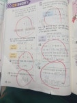 푸르넷이든샘 | 푸르넷공부방 유샘