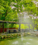 산우리재래돼지영월점 | 산우리