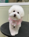 큐티살롱