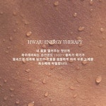 후기