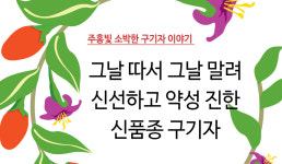 주홍빛소박한구기자이야기