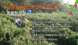 주홍빛소박한구기자이야기