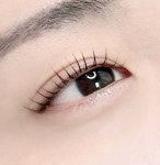 디앤리브로우 | 리리브로우