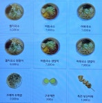 오봉구국수당산공원점 | 오봉구국수