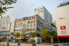 새솔언어심리치료센타