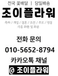 한샘꽃집조이플라워 | 조이플라워