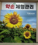 약명도사기운동체형관리 | 약손체형관리