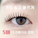 유한회사 다봄 | 다봄
