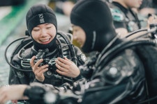 엔비다이버스