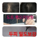 고슴도치에게 파머를 양에게생머리를 | 고슴도치에게 파마를 양에게 생머리를