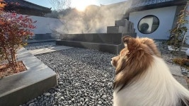 후기