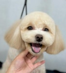 해피모먼츠