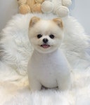 해피모먼츠