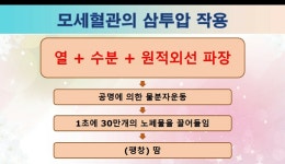 힐스템건강찜질황등점 | 힐스템건강찜질 여서점