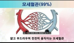 힐스템건강찜질황등점 | 힐스템건강찜질 여서점