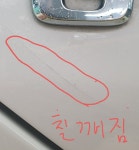본디덴트기술센터 | GJ덴트