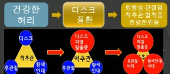 서천체형교정원 | 주용탁체형교정원