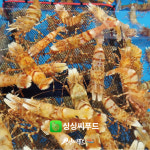 싱싱씨푸드