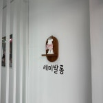 세미쌀롱