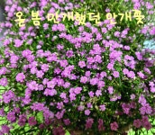 원봉푸르넷공부방 | 한마음푸르넷공부방