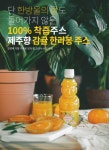 제주더돈유통 | 제주돈돈