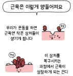 신봉담고고점핑&힐링센터 | 신봉담 고고점핑&힐링센터