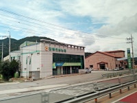 강원인삼농협대구총판 | 강원인삼농협 본점