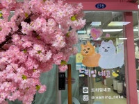 드리밍네코