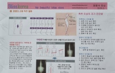 킹스타브리스