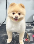 해피모먼츠