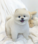 해피모먼츠