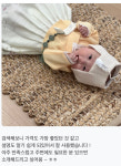 (주)빈스테이블 강남일원점 | 한스테이블