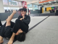 KKM크라브마가 대성합기도