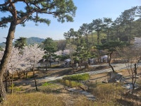 산속애