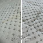 비치움골든티켓 | 비치움 골든티켓