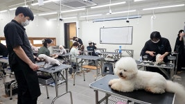 바닐라애견미용학원 목포점