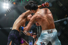 팀175종합격투기크로스핏 | 킥복싱 주짓수 레슬링 크로스핏 MMA마셜아티스트 체육관