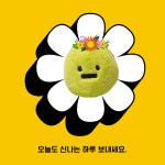 마이왁싱앤브로우 송파본점