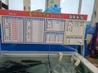 강포회뜨는집 | 회뜨는집
