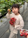 팜그로윙
