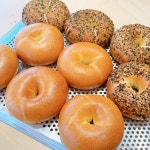 상록수