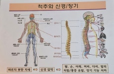 아로마글로바신림역점 | 명가테라피 마사지 신림점