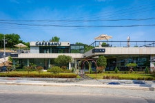 바우