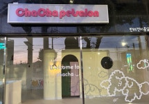 차차스살롱(chacha's salon) | 차차펫살롱