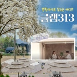 글램313