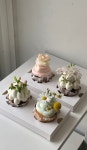 도르르케이크(dorr cake) | 도르르케이크