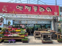 엔젤플라워
